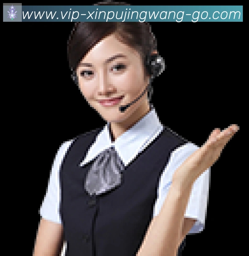 新葡京娱乐网服务体系